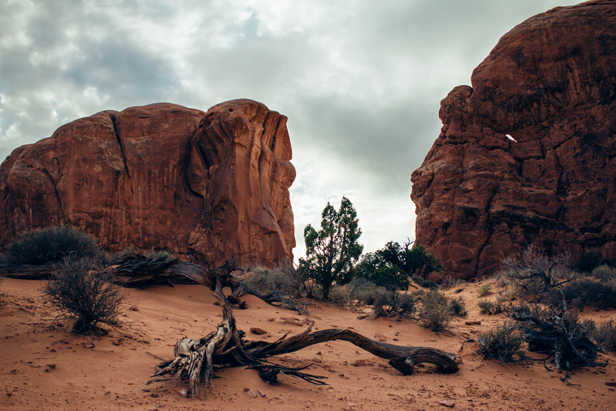 careers_utah_2